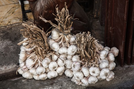 Garlic on display in the market.,Vigan , Luzon, philippinesのeditorial素材
