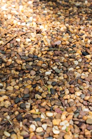 rock in the garden の写真素材