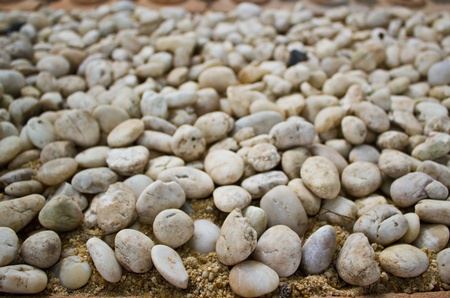 white pebbles in the garden