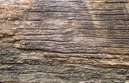 old wood backgroundの写真素材