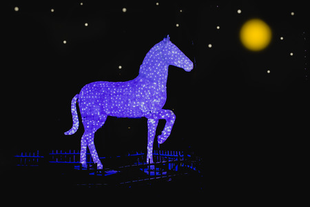horse lantern at nightの写真素材