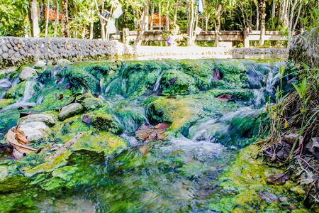 stones overgrown with moss  in the fall riverの写真素材
