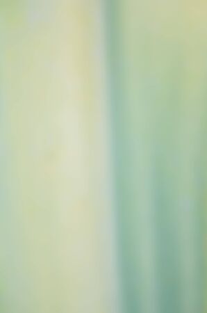 photo background of abstract blurの写真素材