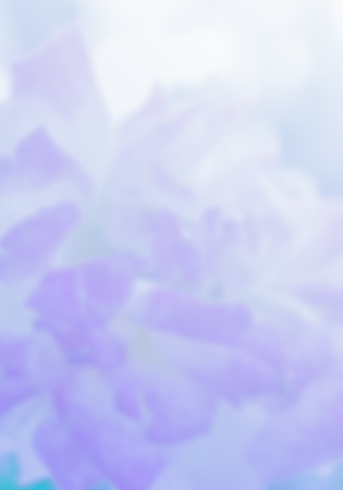 abstract blur photo of pink flowerの写真素材