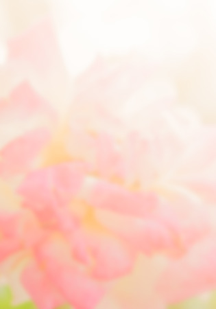 abstract blur photo of pink flowerの写真素材