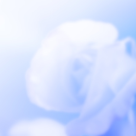 abstract blur photo of pink flowerの写真素材