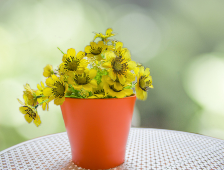 yellow fabric flowwer on abstract bokeh blur background of natureの写真素材