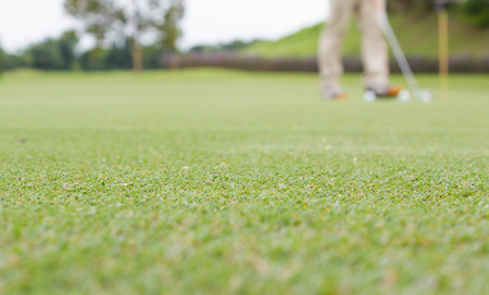 blur photo of green grass and golf player