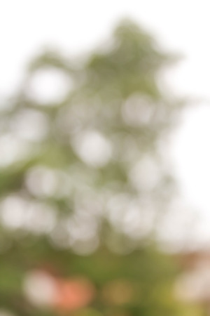 abstract bokeh blur background of natureの写真素材