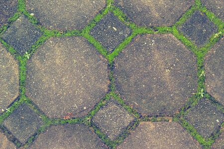 grungy cement floor with gree grass
