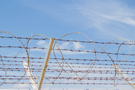 barbed wire fence on blue sky and white backgroundの写真素材