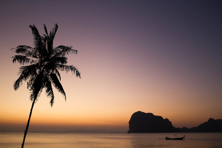 silhouette photo of coconut tree with the beach and long tail boat backgroundの写真素材