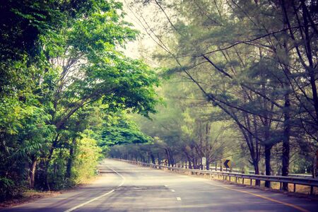 the road in Thailand with green treeの写真素材