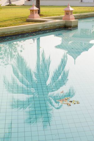 dried flowers and leaves in swimming pool