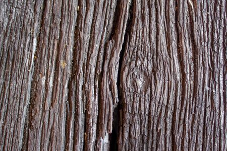 old rustic wood background