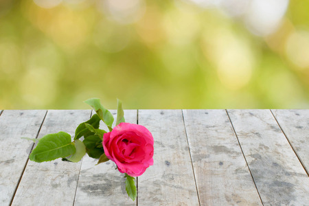 red rose on empty perspective grungy wood table top texture with blurred nature  backgroundの写真素材