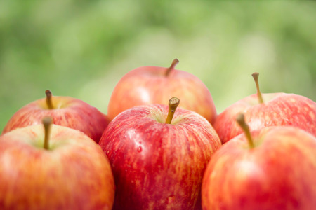 group of fresh red apples on blurred bokeh nature background selective focus to the center oneの写真素材