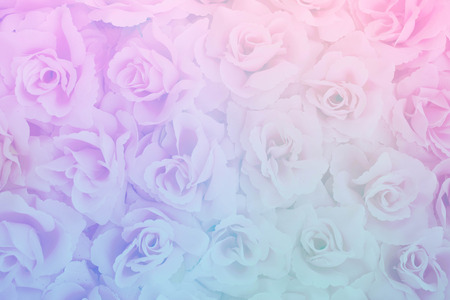 abstract blur of fabric rose background in color filterの写真素材