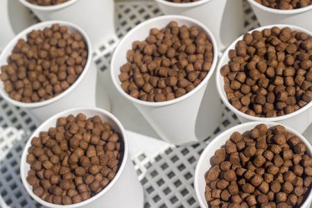 fish feed in white cupsの写真素材