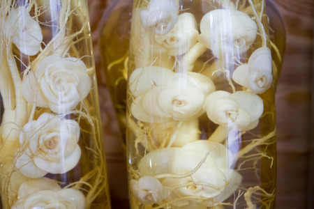 carved Korea ginseang look like roses in bottleの写真素材