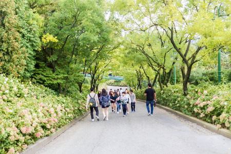 tourist walking on the hill with green parkの写真素材