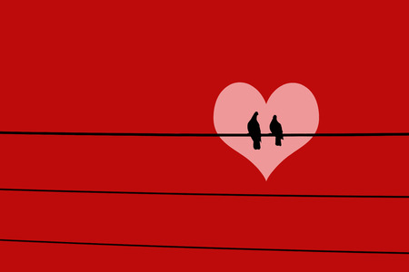 two birds lover on electricity wire on blue sky and white cloud backgroundの写真素材
