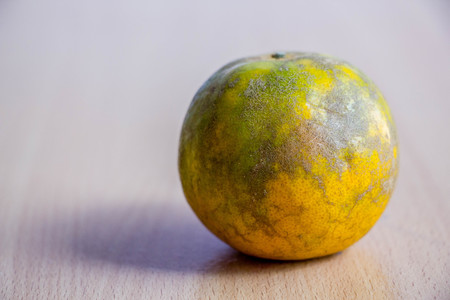 one natural orange on wood tableの写真素材