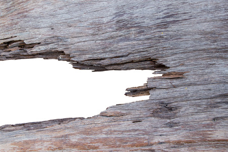 old cracked wood texture on white backgroundの写真素材