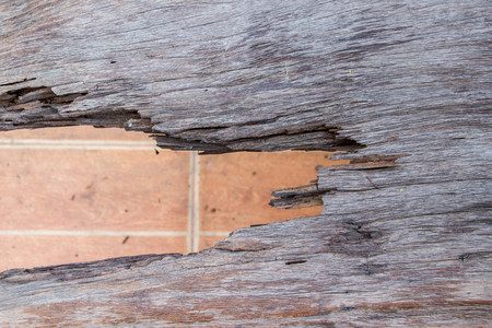old cracked wood texture with tile backgroundの写真素材
