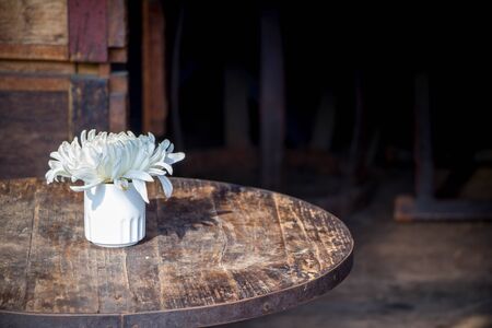 white flower in white vase on rustic wood tableの写真素材