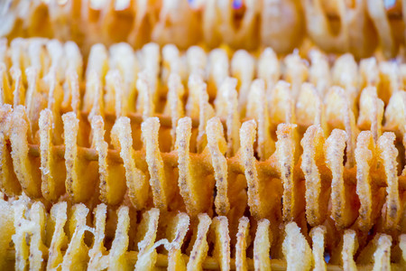 fried potato spiral on stickの写真素材
