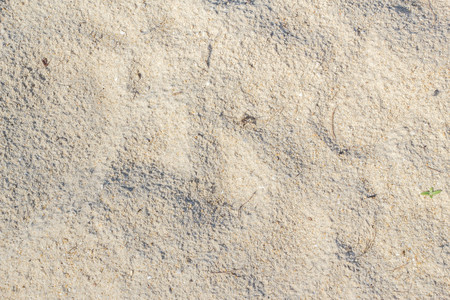 white sand background textureの写真素材