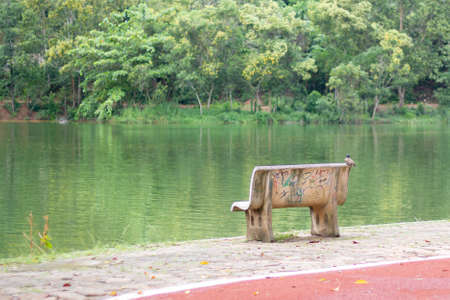 bird on lonely cement chair in the park