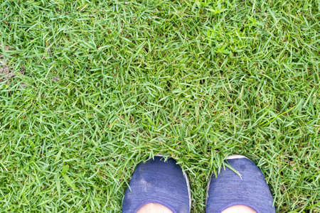 top view of woman feet in blue shoes on grass floor