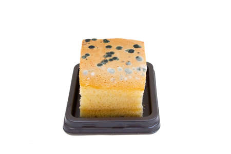 fungus on cake bread,mould growing on cake, closeup of mold on piece of cake in plastic box on white backgroundの写真素材