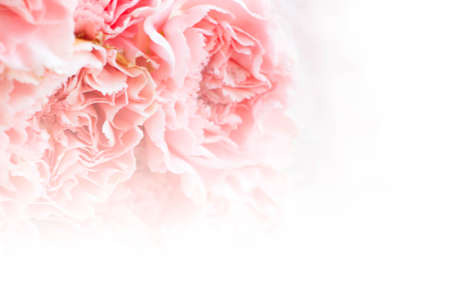 abstract blurred fabric  flower in color toneの写真素材