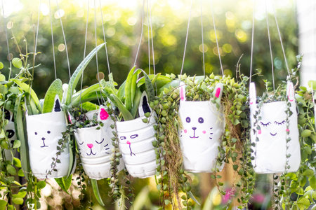 cute plant pots made from reused water bottlesの写真素材