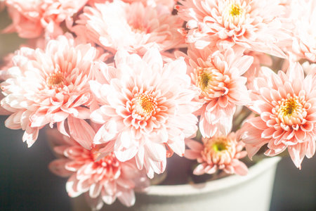 pink gerbera bouquet in white vase on blur green backgroundの写真素材