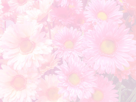 blurred bouquet of fabric flower in pink color tone : for background useの写真素材