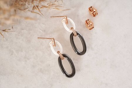 Modern earrings with small crystals on gentle background. Women accessories.の写真素材