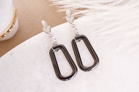 Modern earrings with small crystals on gentle background. Women accessories.の写真素材