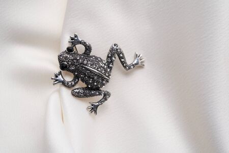 Silver brooch shaped like a frog with small diamonds, isolated on white background. Women Accessoriesの写真素材