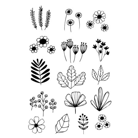 Set of flowers and silver leaves Floral design elements, icons, shapes, wildflowers and garden leaves, black and white illustrations on a white background.のイラスト素材
