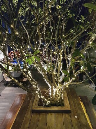 lighting decoration on tree