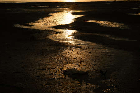 A picture with silhouette picture of sun reflection at the mud and water during sunset at Kuala Selangor.の写真素材