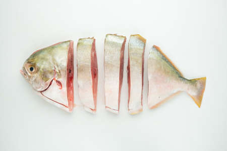 A picture of sliced pomfret fish on isolated white background.の写真素材