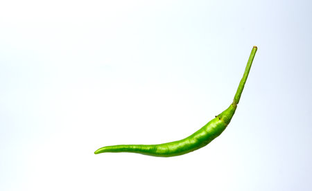 A levitation picture of the hottest small chilli pepper with on gray background.の写真素材