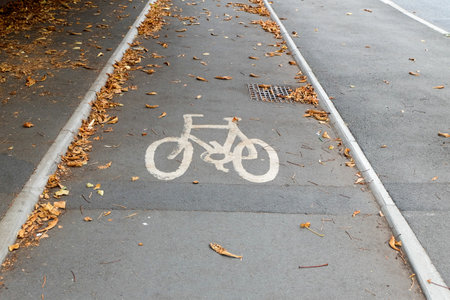 Bicycle sign at bicycle lane used at Rusholme with dead leaves.の写真素材