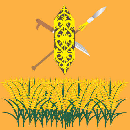 A vector of "terabai" or shield, "mandau" or ilang sword and blow pipe with paddy field. Symbolic of "Gawai Festival". "Gawai Festival" is a day to give thanks to Gods after rice harvesting season is over.のイラスト素材