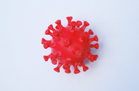 A picture of 3d printed coronavirus on white background. Coronavirus have stay with us for 2 yearsの写真素材
